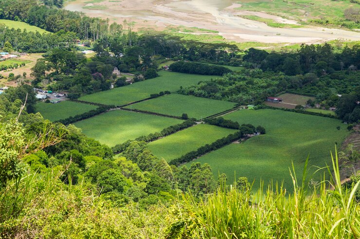 land for sale in